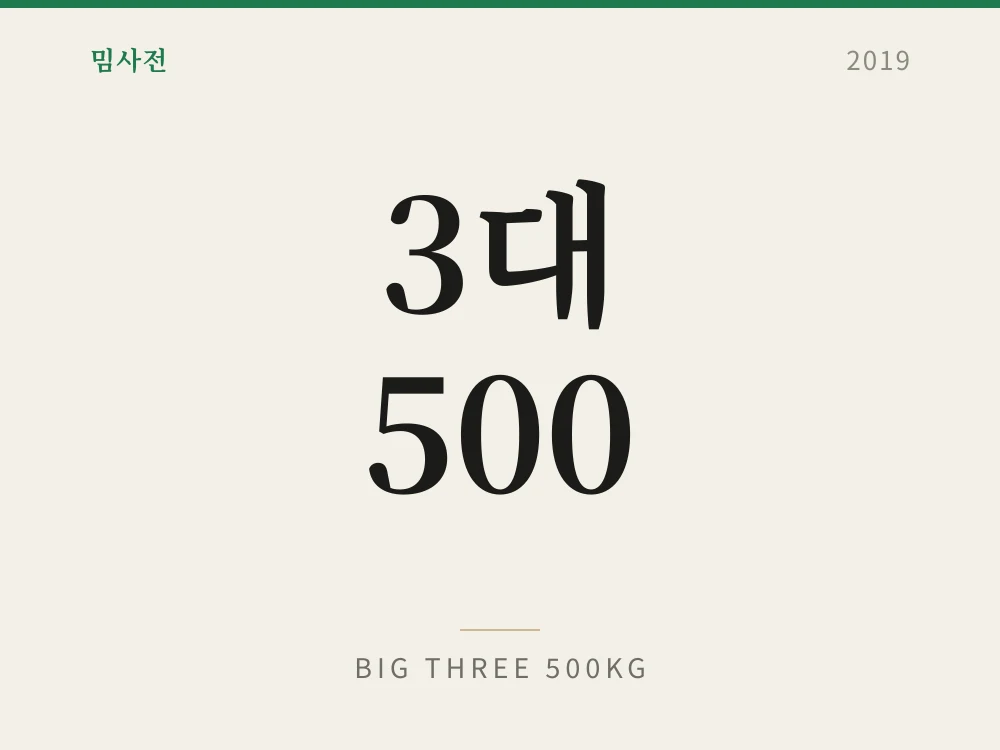 3대 500 1