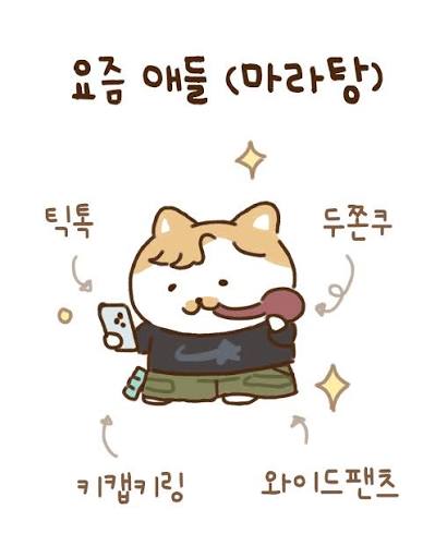 마라탕 쌍화탕