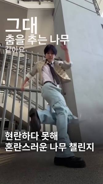 Namu (Tree) Challenge 2